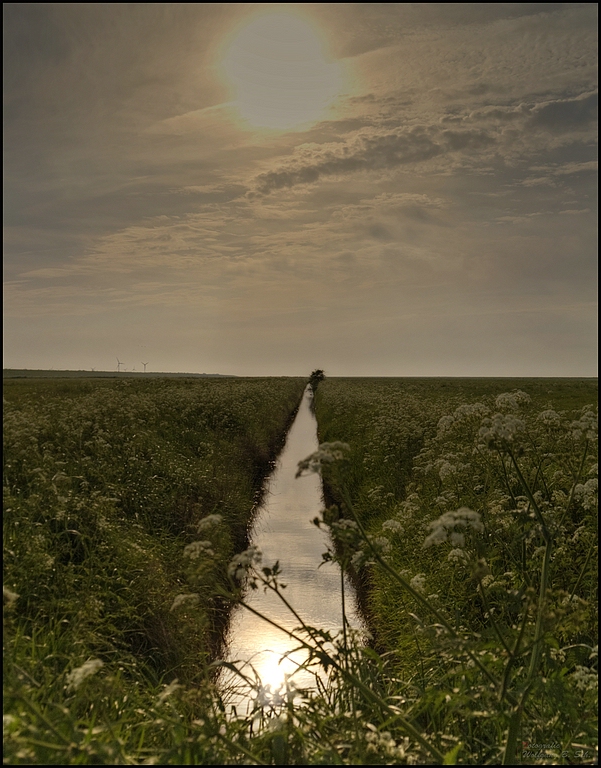 "Canale Grande"