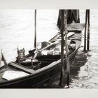 Canale Grande Venedig 1984 - Impressionen 