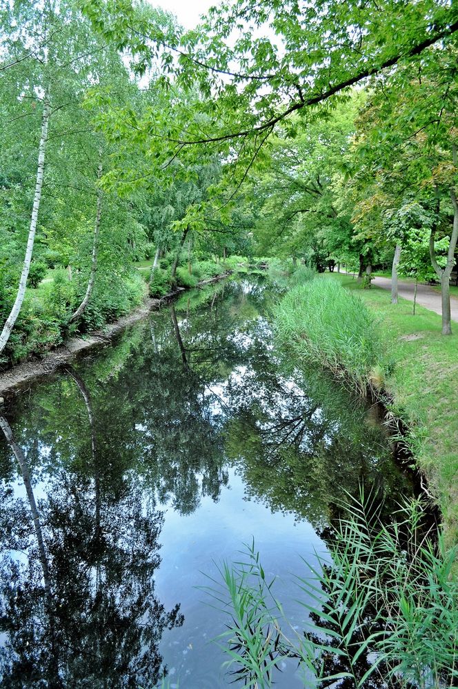 Canale........... in der Fuhneaue