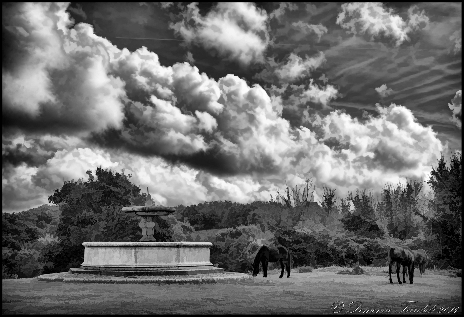 Canale Monterano Foto Immagini paesaggi, campagna, natura Foto su