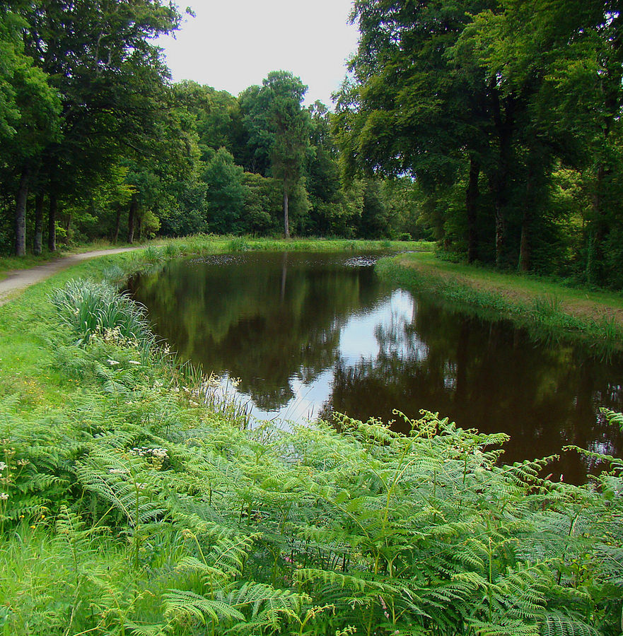 Canale Nantes-Brest