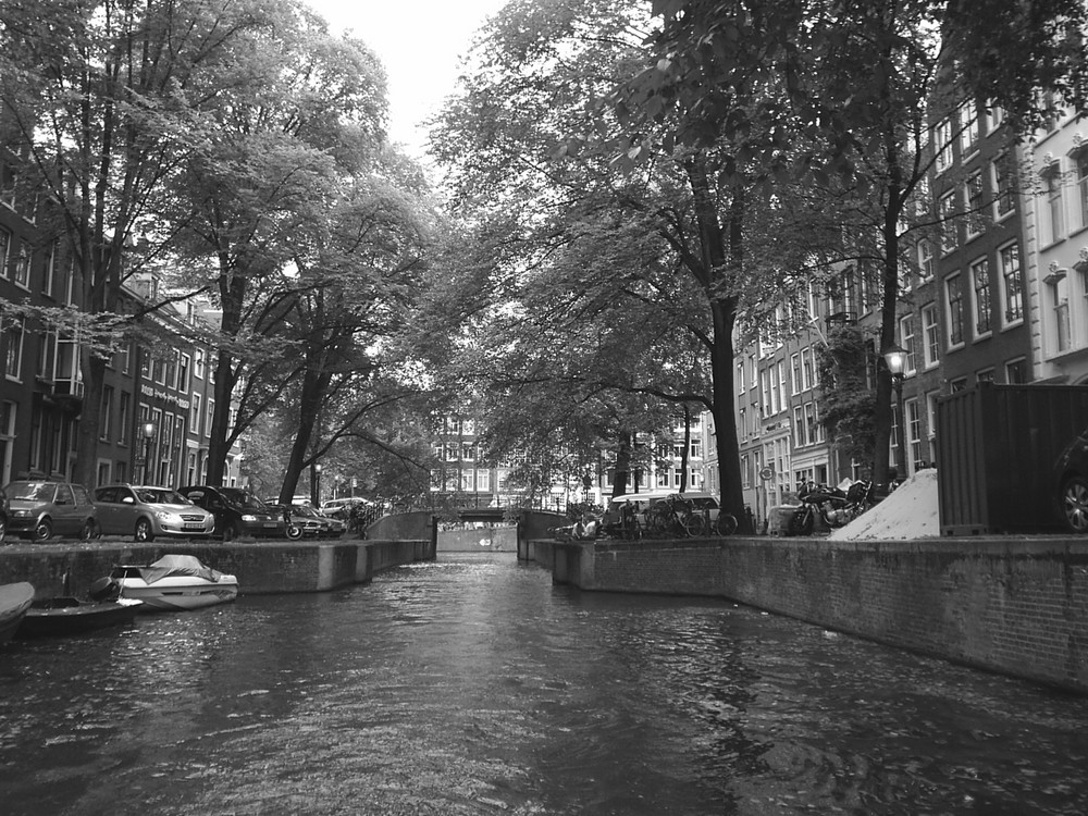 Canales de Amsterdam