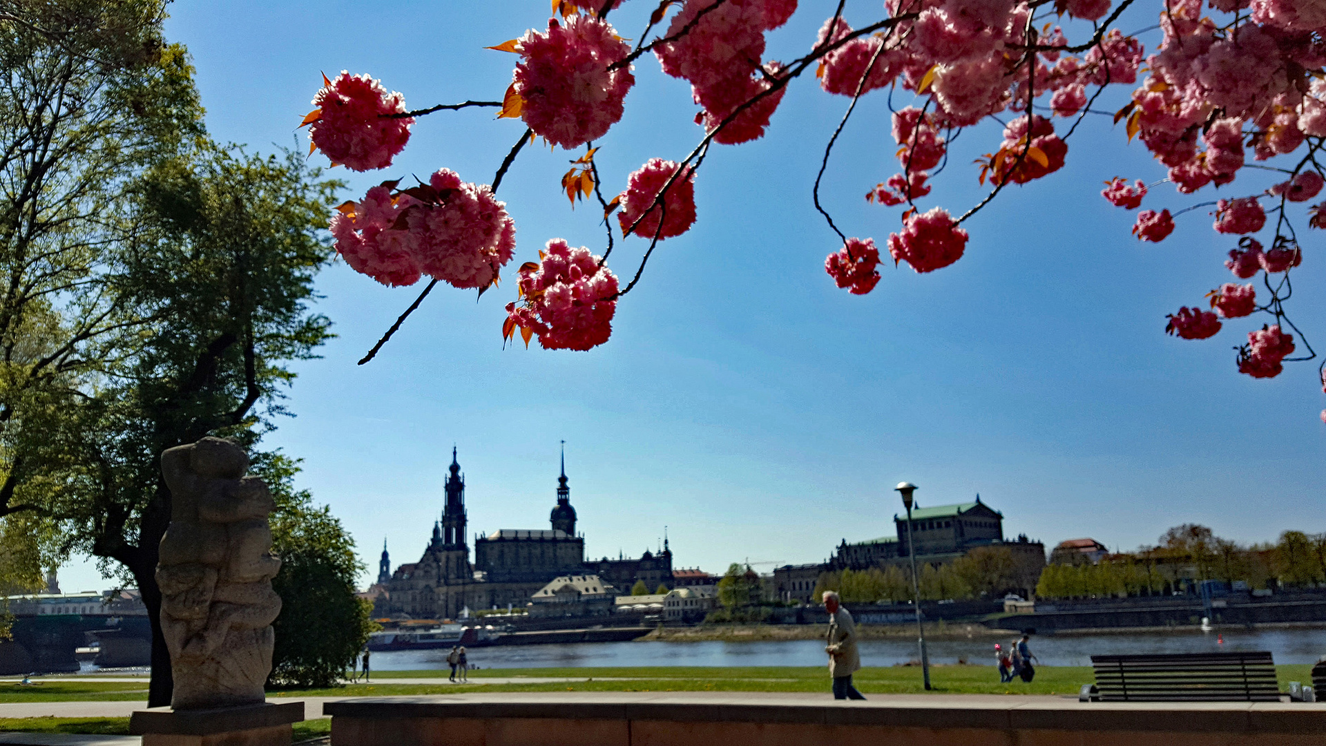 CanalettoKirschblüten