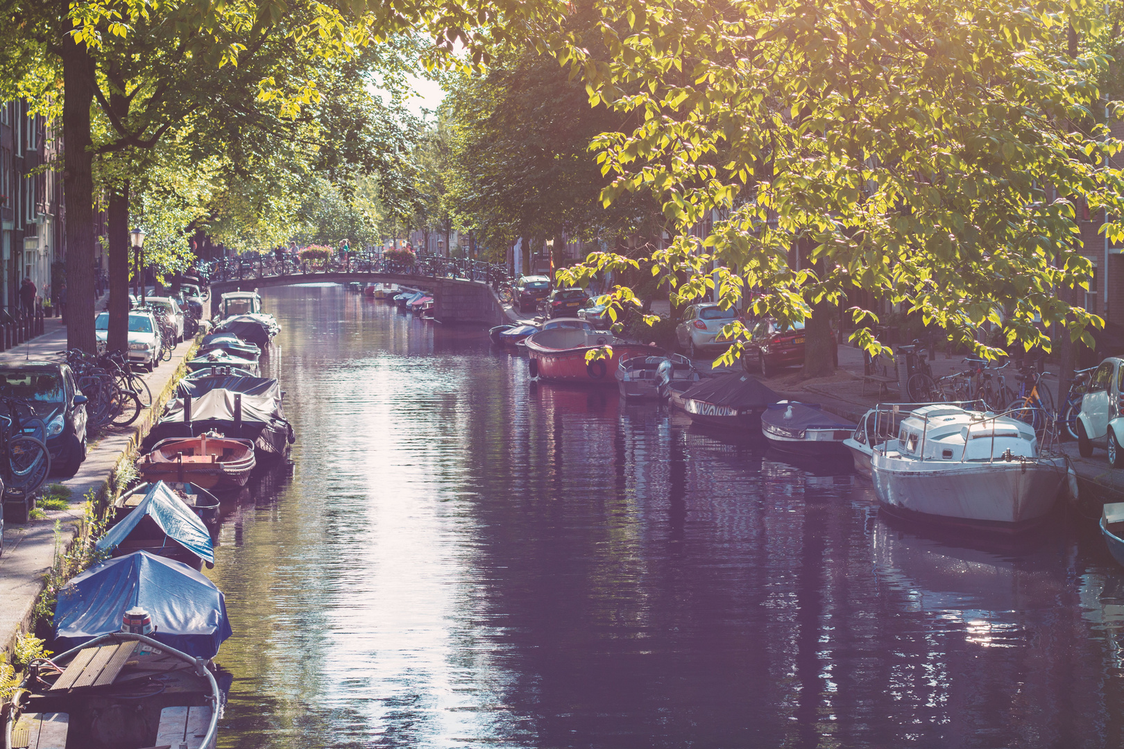 Canals of Amsterdam