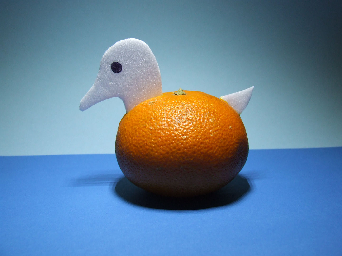 Canard al orange