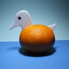 Canard al orange