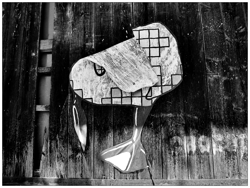 Canard Boiteux Photo Et Image S W Elsass Alsace Images Fotocommunity