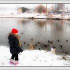 Canards en gelée