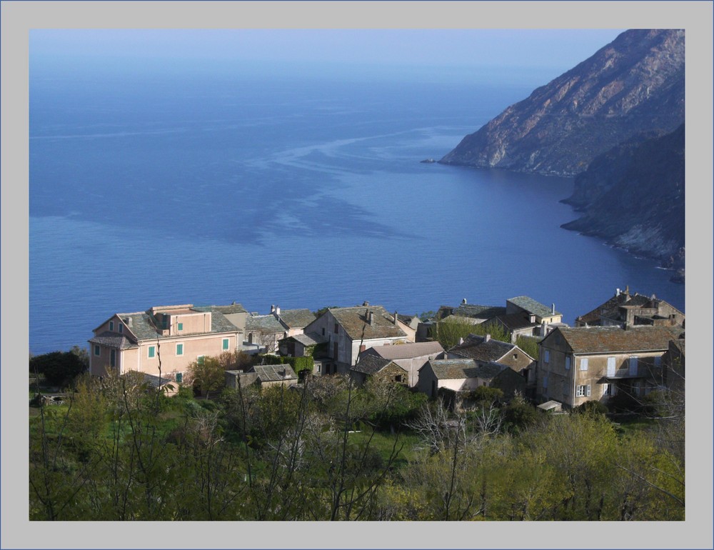 canari (haute corse)