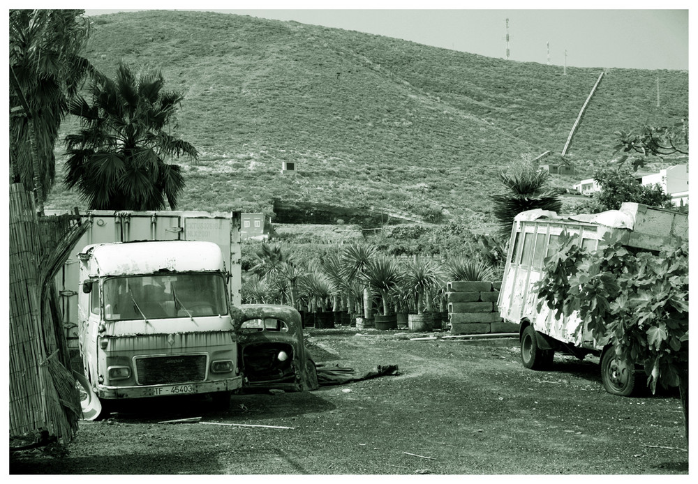 canarischer autofriedhof