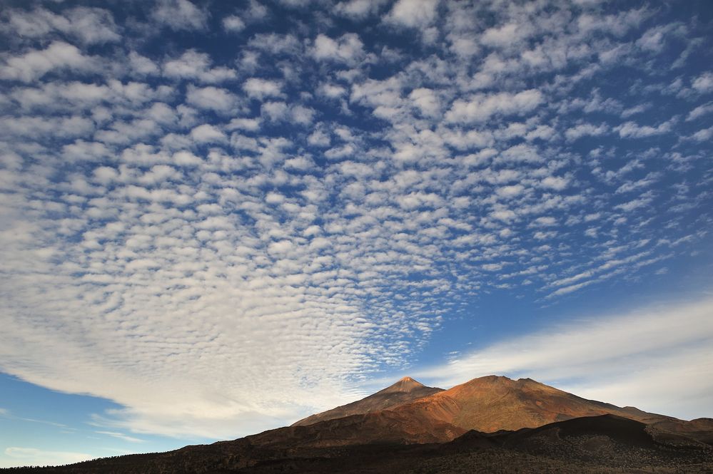 *canary sky*