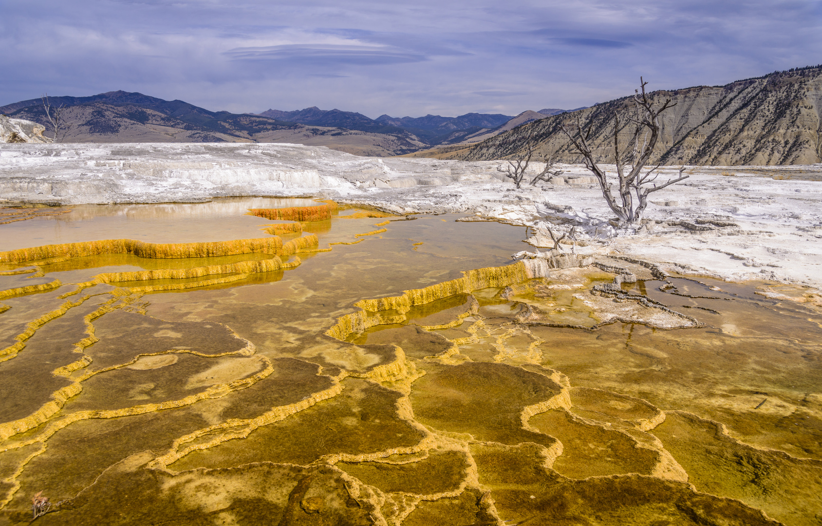 Canary Spring, Mammoth Hot Springs, Wyoming, USA