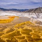 Canary Spring, Mammoth Hot Springs, Wyoming, USA