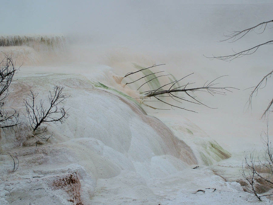 Canary Spring Mammoth, Yellowstone NP