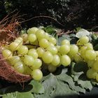 Canasta con uvas