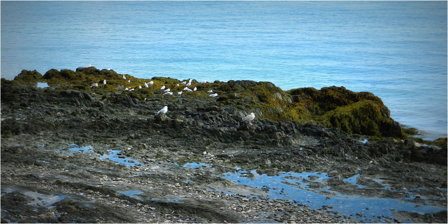 cancale