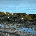 cancale