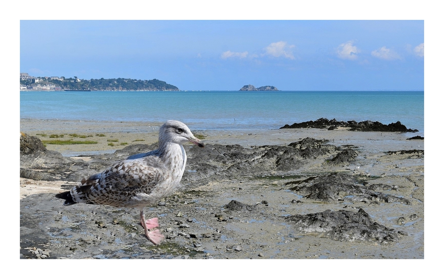 cancale