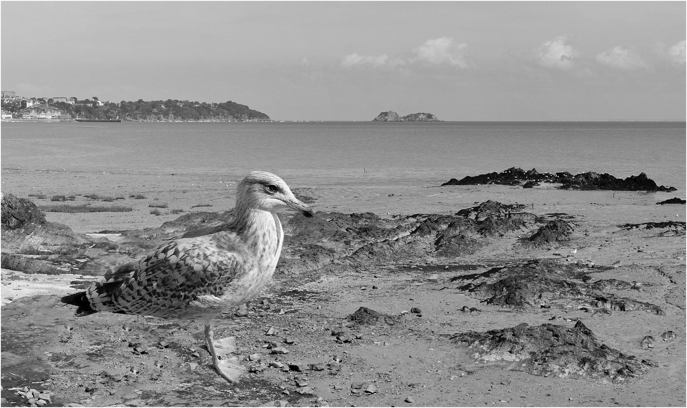 cancale