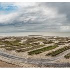 Cancale - das Herz der franz. Austernzucht