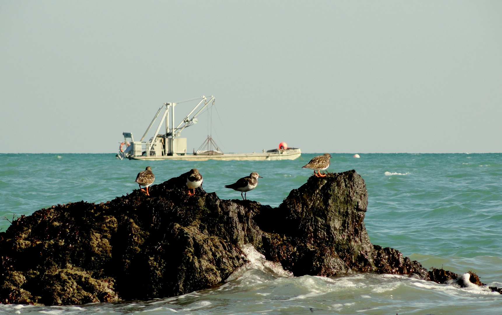 Cancale