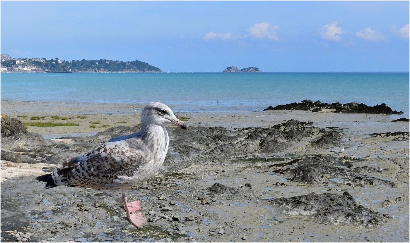 cancale