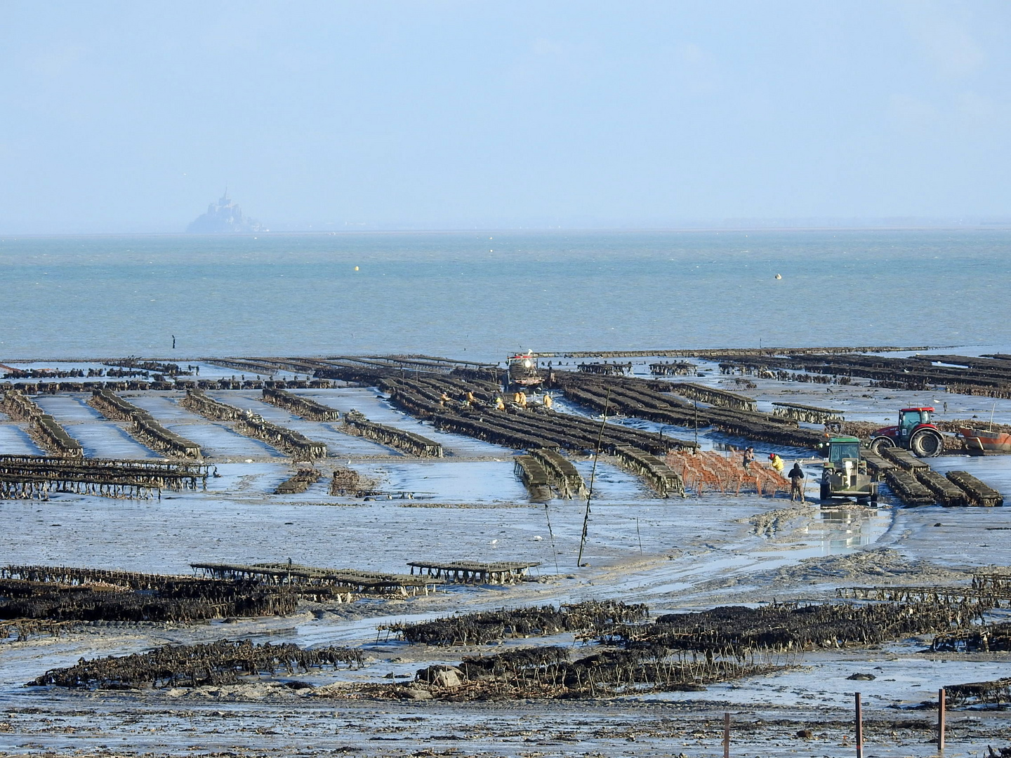 Cancale, janvier 2022