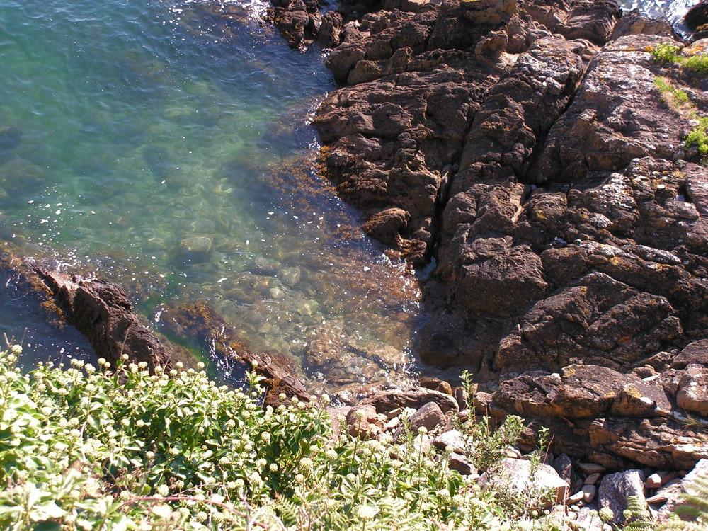 cancale on s'y baignerait