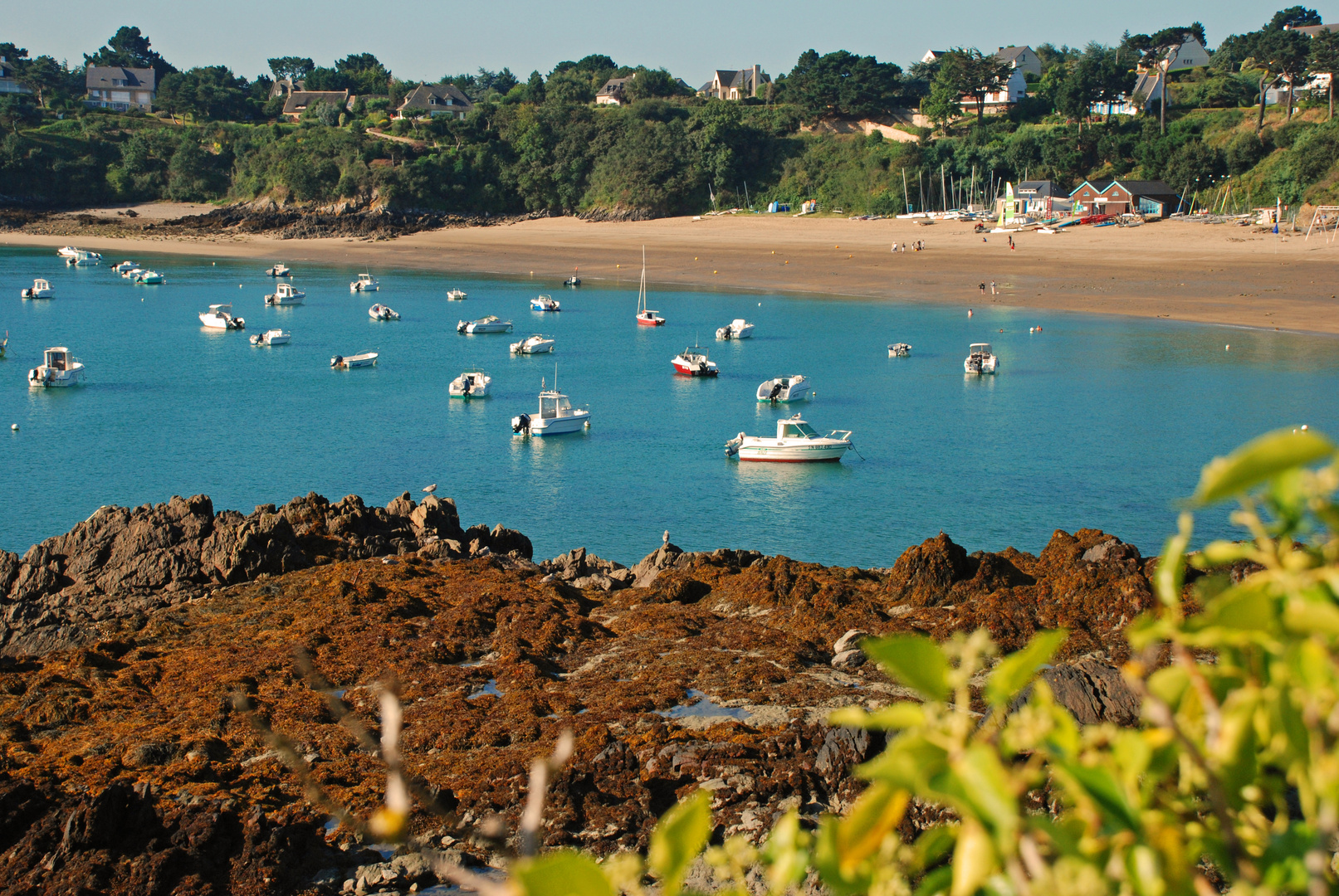 Cancale Port Mer