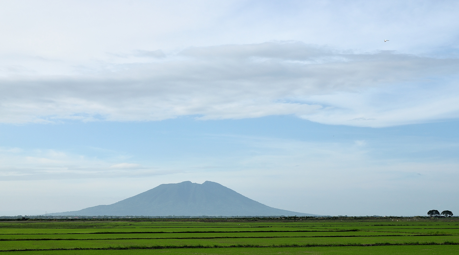 Candaba Swamp Luzon Sumpf Schutzgebiet