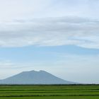 Candaba Swamp Luzon Sumpf Schutzgebiet