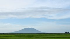 Candaba Swamp Luzon Sumpf Schutzgebiet