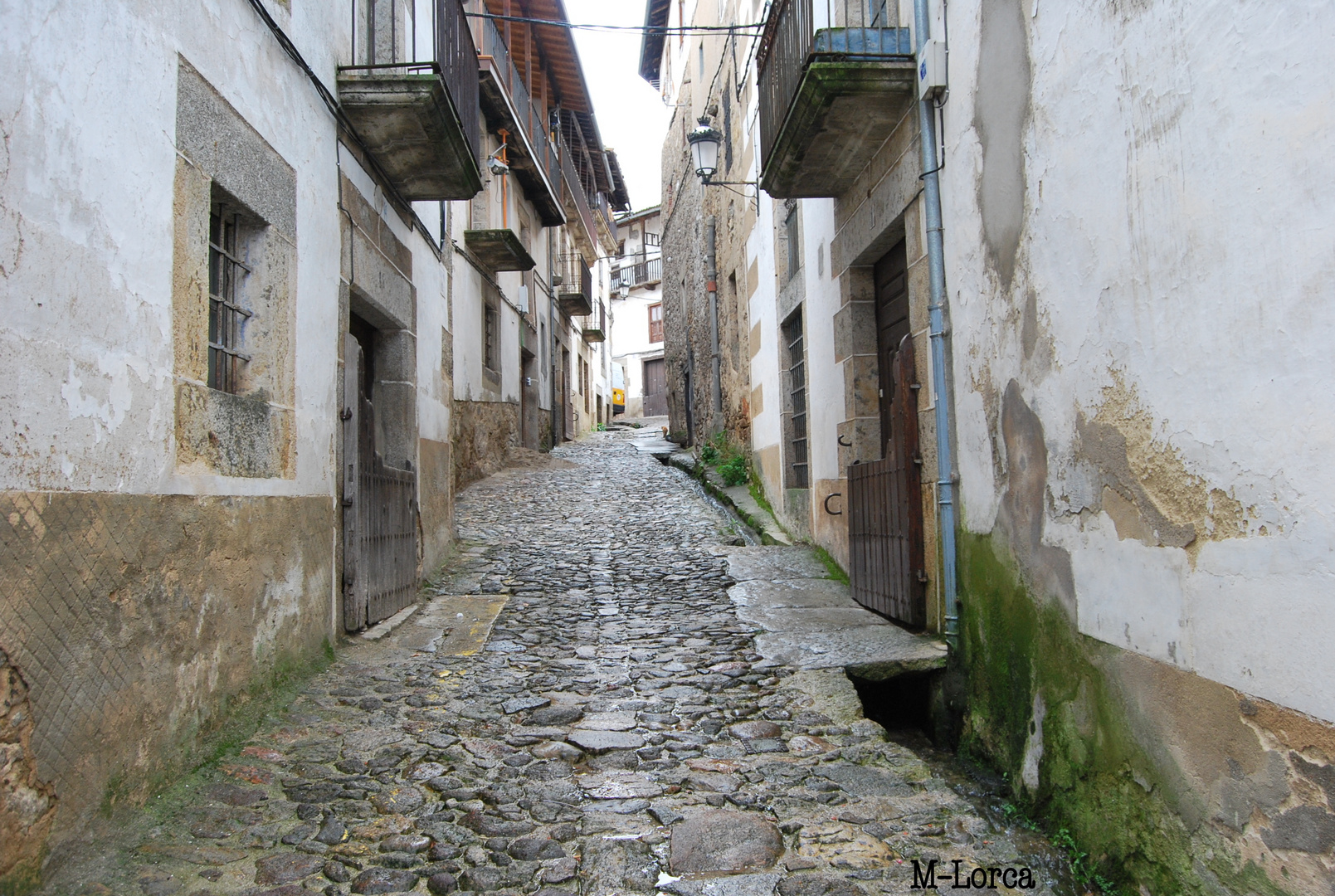 CANDELARIO 4ª de la serie