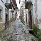 CANDELARIO 4ª de la serie