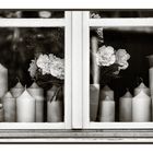 Candels in the Window