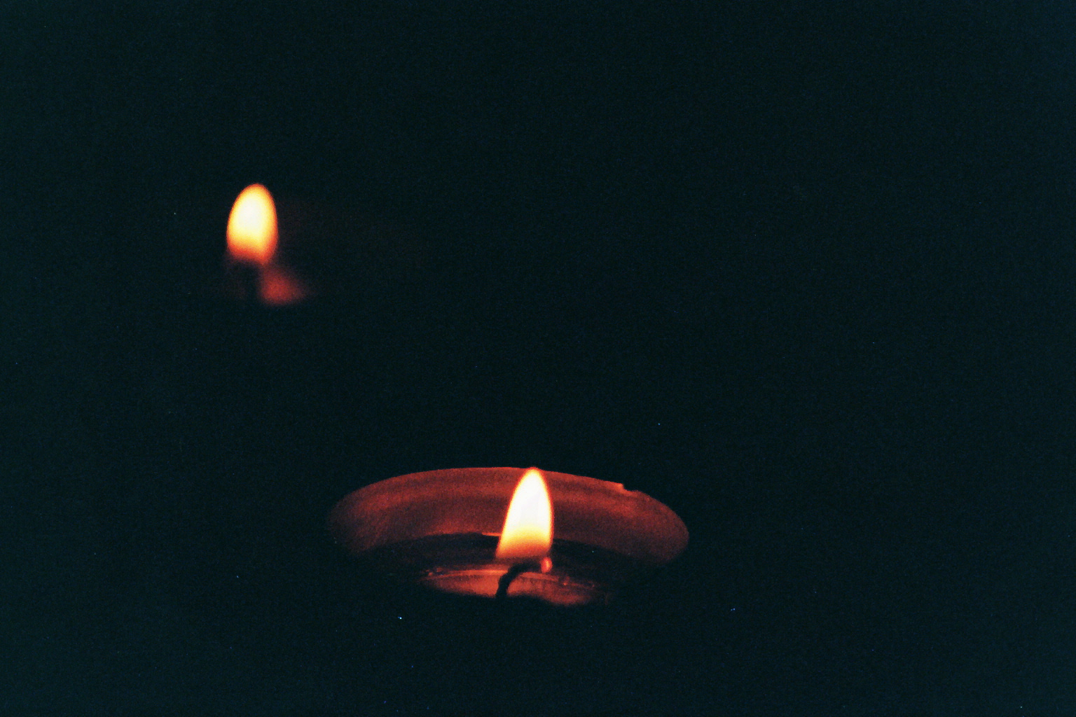 | Candle in the dark |