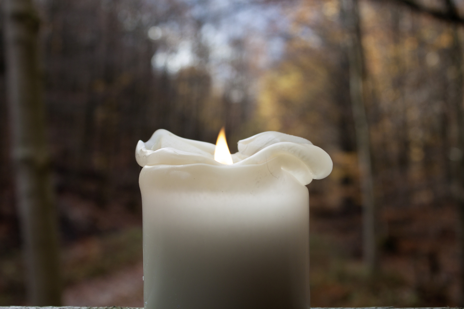 Candle in the wood