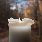 Candle in the wood