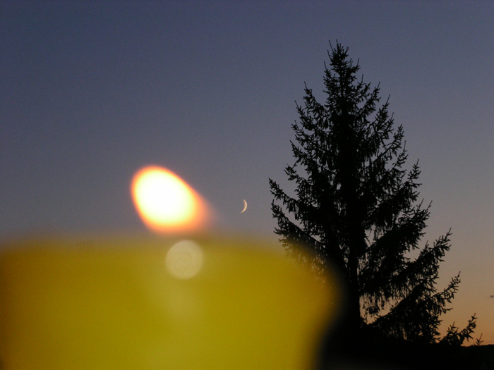 Candlelight, moon and tree