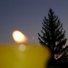 Candlelight, moon and tree