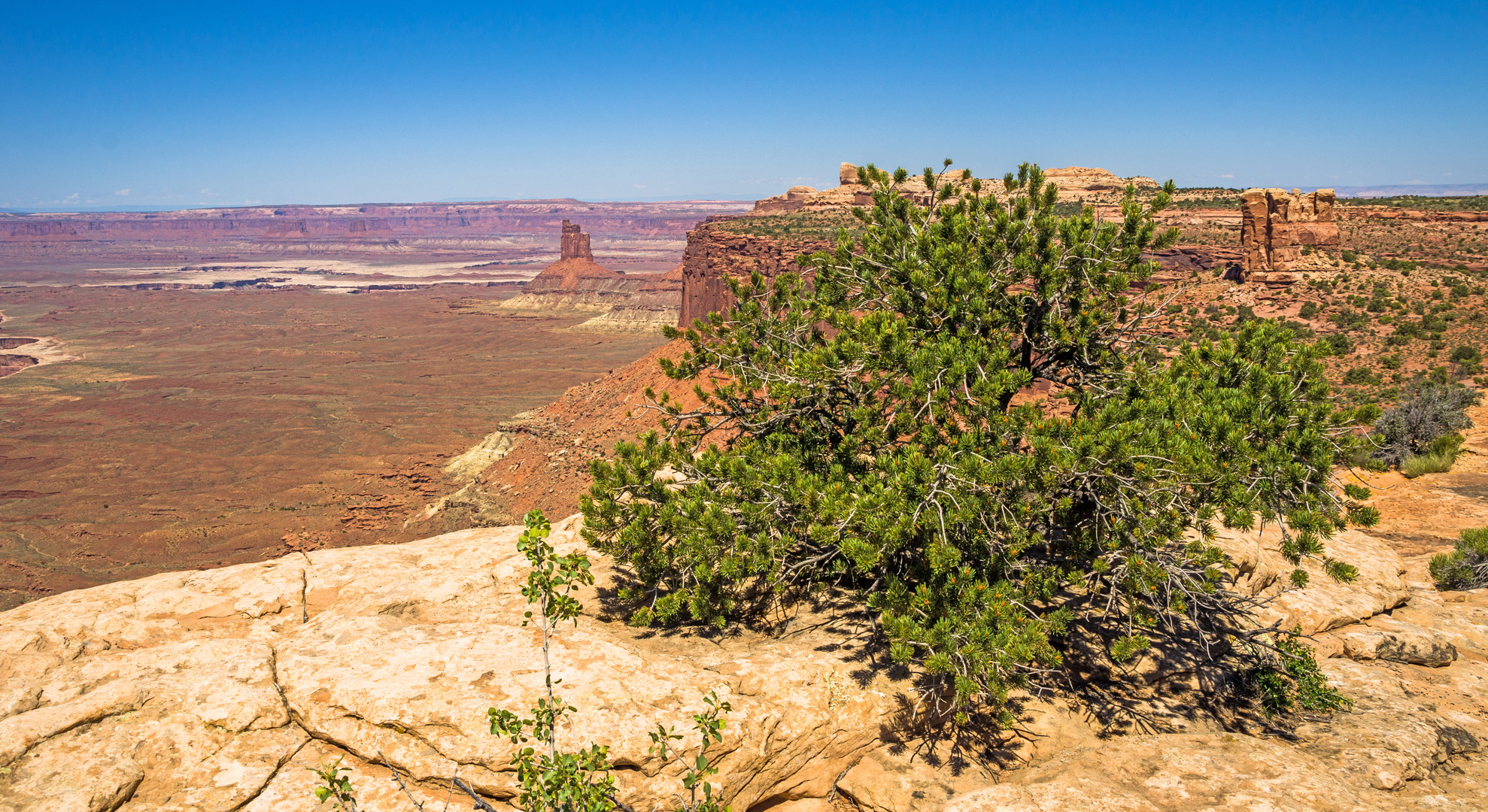 Candlestick Tower gesehen vom Green River Overlook 