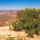 Candlestick Tower gesehen vom Green River Overlook 