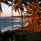 Candolim Beach