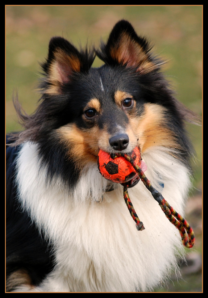 Candy - Portrait