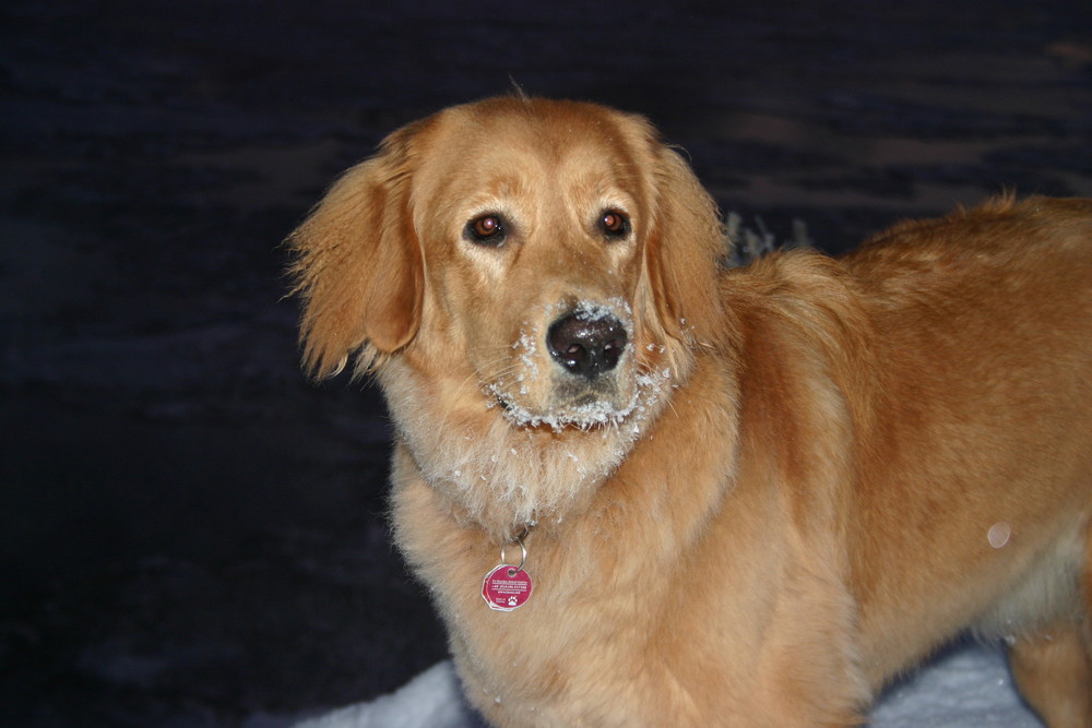 Candy´s erster und leider auch ihr letzte Schnee