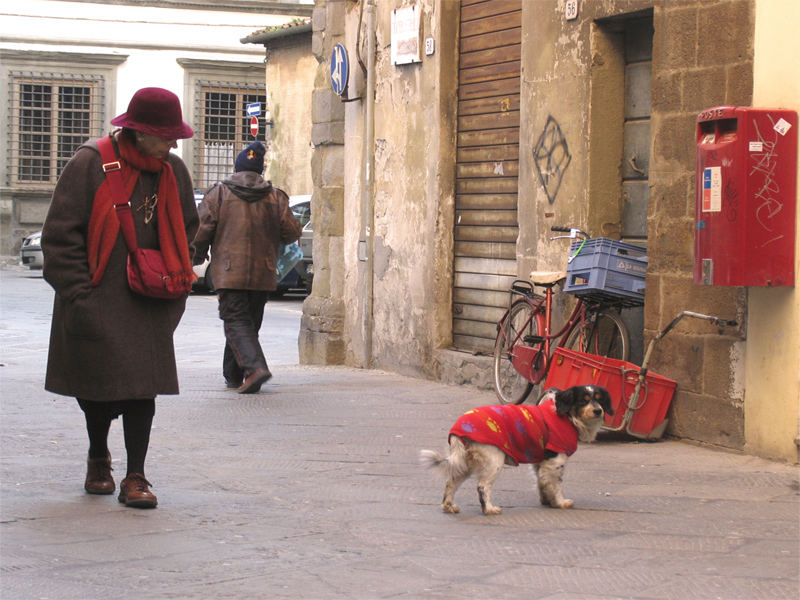 cane da guardia 2