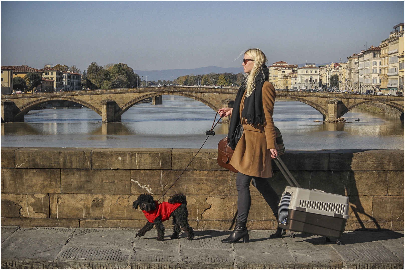 Cane e gatto