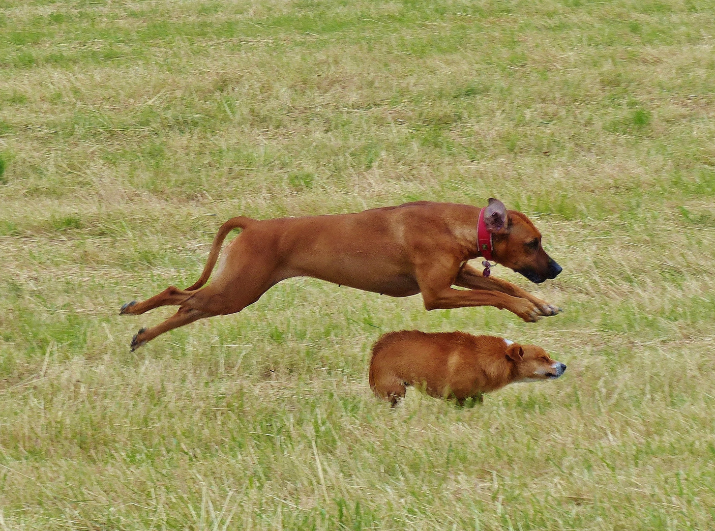 Caneli & Alicia beim Spielen 01