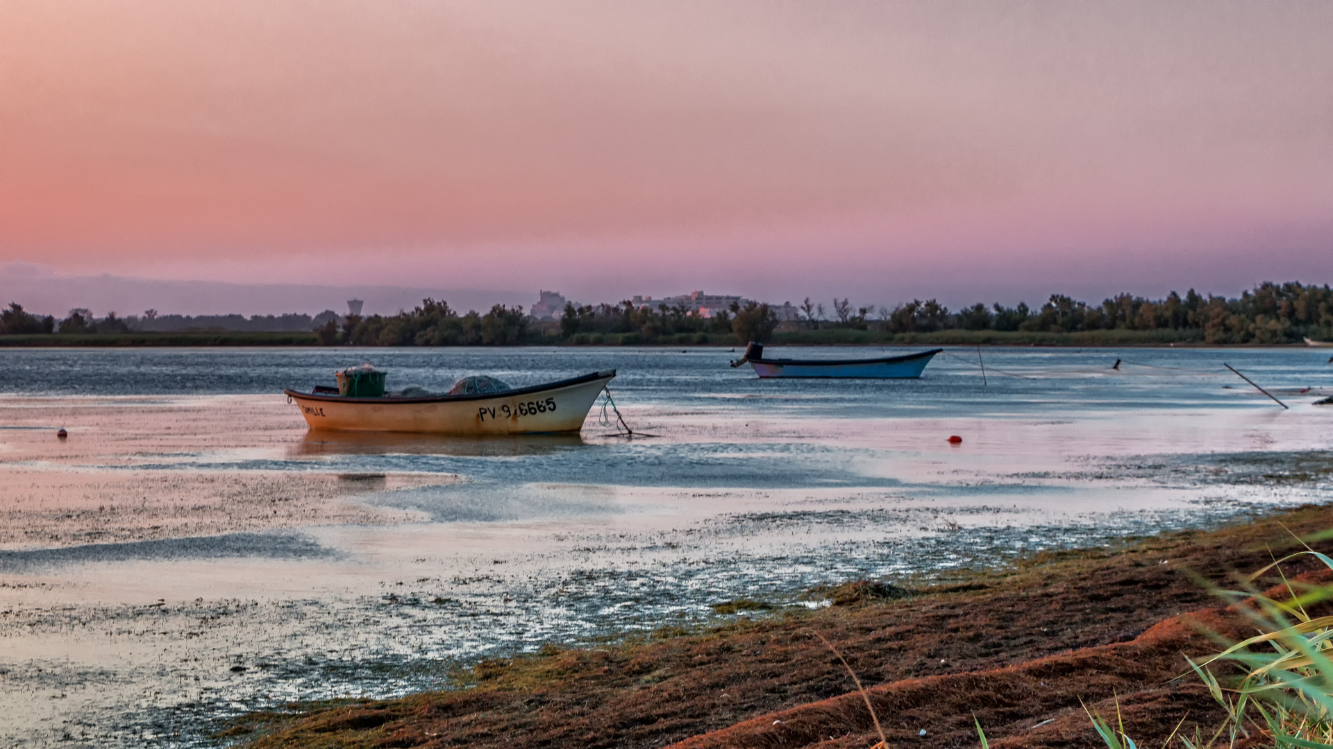 Canet, Languedoc-Roussillon, Frankreich