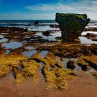 Canggu beach during low tide